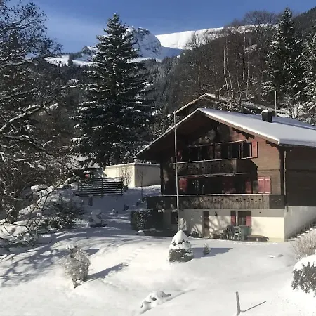 Bussalp - Aare Jungfrau Ag Daire