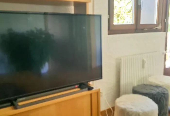 Bussalp - Aare Jungfrau Ag Apartmán *