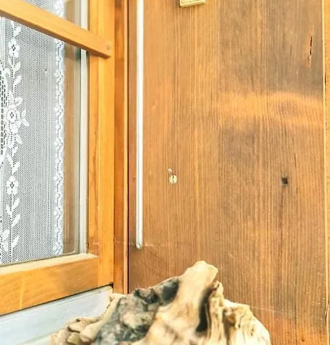 Bussalp - Aare Jungfrau Ag *