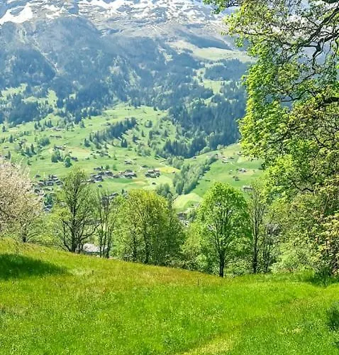 Appartement Bussalp - Aare Jungfrau Ag Grindelwald