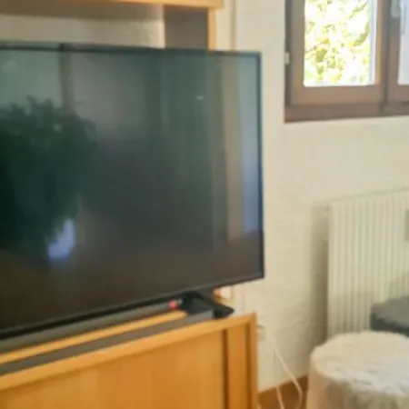 Bussalp - Aare Jungfrau Ag Apartamento *