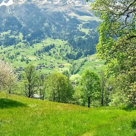 Appartamento Bussalp - Aare Jungfrau Ag Grindelwald