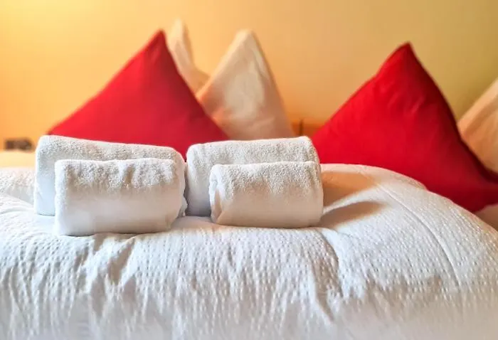 Bussalp - Aare Jungfrau Ag Grindelwald